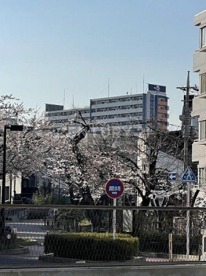 �����s���c�J��匴2���� 27-28�̒��Ã}���V�����̂��̑����n