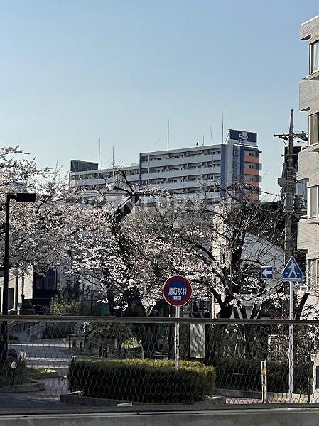 �����s���c�J��匴2���� 27-28�̒��Ã}���V�����̂��̑����n