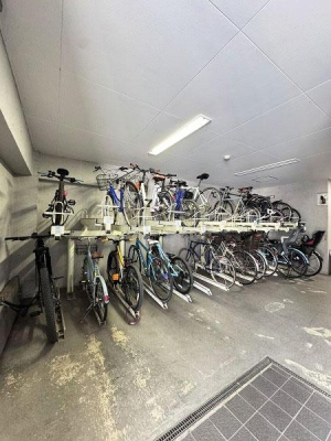 �����s���c�J�搣�c1���� 2-25�̒��Ã}���V�����̂��̑����p��