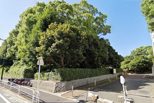 �����s�i��擌�i��4���� 13-10�̒��Ã}���V�����̎��ӊ�