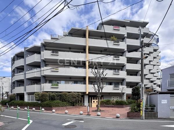 �����s���c�J��p��2���� 28-11�̒��Ã}���V�����̌��n�O�ώʐ^