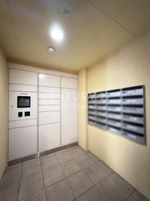 �����s���c�J��p��2���� 28-11�̒��Ã}���V�����̂��̑����p��