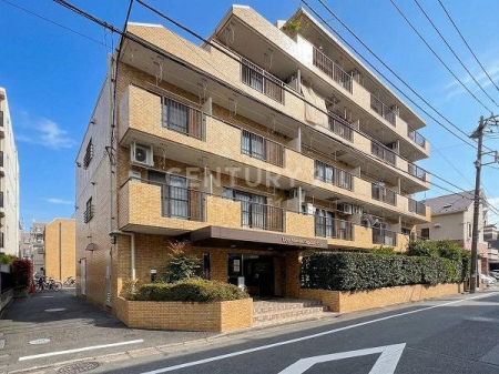 �����s��c��v����2���� 13-23�̒��Ã}���V�����̂��̑����n