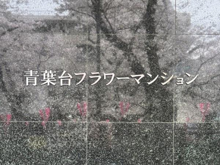 �����s�ڍ���t��1���� 26-1�̒��Ã}���V�����̂��̑�