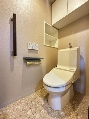 �����s���c�J��D��7���� 17-8�̒��Ã}���V�����̃g�C��