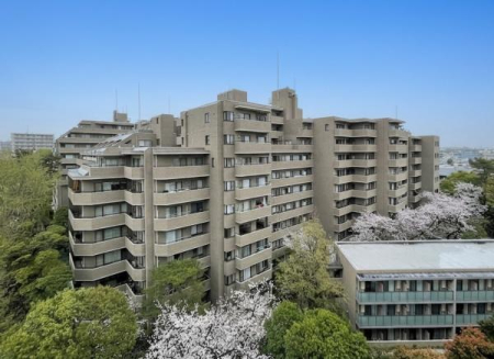 �����s���c�J���G�R2���� 31-31�̒��Ã}���V�����̌��n�O�ώʐ^