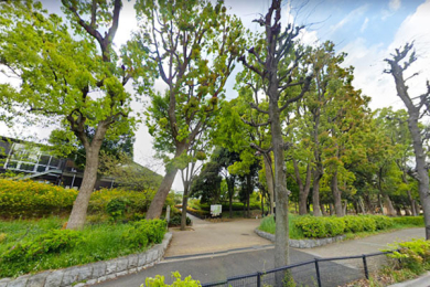 �����s���c�J���G�R2���� 31-31�̒��Ã}���V�����̎��ӊ�