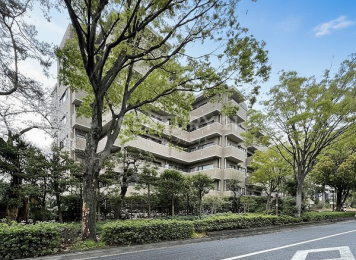 �����s���c�J���G�R2���� 31-31�̒��Ã}���V�����̂��̑����n