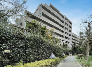 �����s���c�J���G�R2���� 31-31�̒��Ã}���V�����̂��̑����n