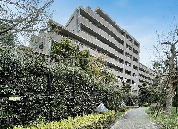 �����s���c�J���G�R2���� 31-31�̒��Ã}���V�����̂��̑����n