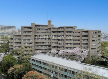 �����s���c�J���G�R2���� 31-31�̒��Ã}���V�����̂��̑����n