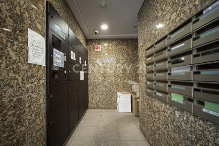 �����s�ڍ��扺�ڍ�2���� 16-12�̒��Ã}���V�����̂��̑����p��