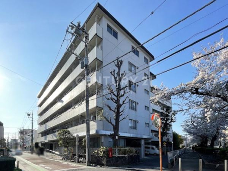 �����s�ڍ��撆��2���� 2-7�̒��Ã}���V�����̂��̑����n