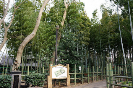 �����s�ڍ��撆��2���� 2-7�̒��Ã}���V�����̎��ӊ�