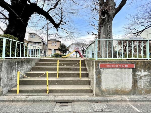 �����s���c�J�搢�c�J2���� 24-1�̒��Ã}���V�����̎��ӊ�