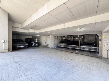 �����s�a�J���X��1���� 6-8�̒��Ã}���V�����̉摜