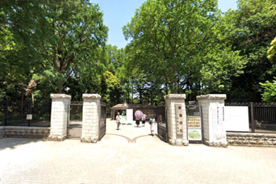 �����s�a�J���X��1���� 6-8�̒��Ã}���V�����̎��ӊ�