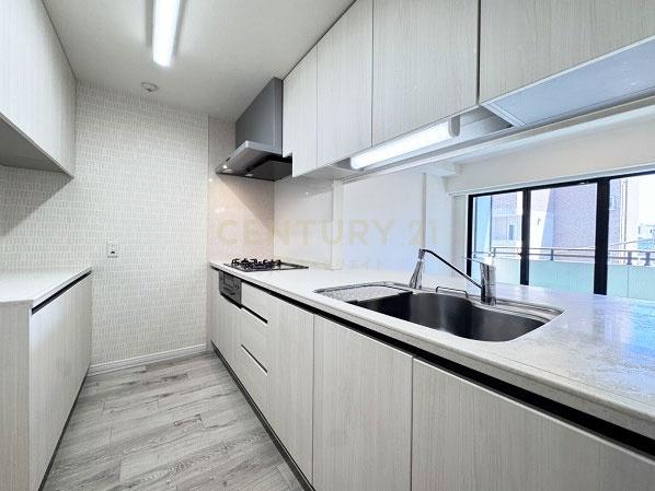 �����s�a�J���X��1���� 6-8�̒��Ã}���V�����̃L�b�`��