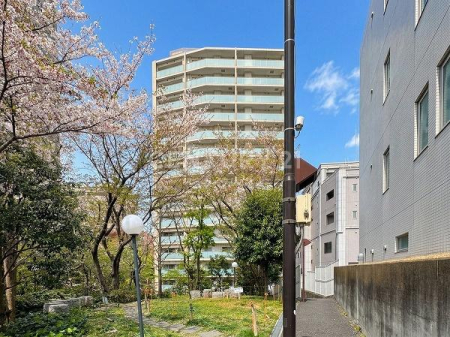 �����s�`�捂��1���� 23-26�̒��Ã}���V�����̂��̑����n