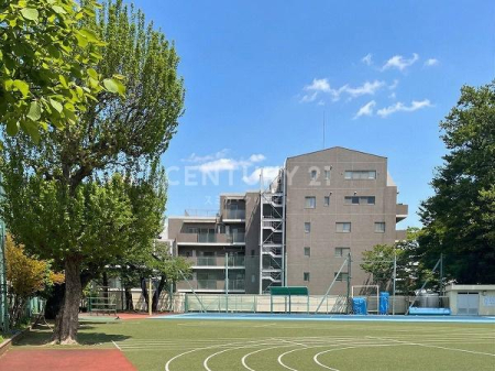 �����s�V�h�搼����c3���� 8-1�̒��Ã}���V�����̂��̑����n