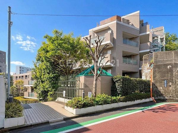 �����s�V�h�搼����c3���� 8-1�̒��Ã}���V�����̂��̑����n