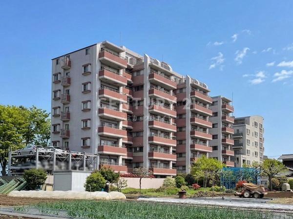 �����s���c�J���Α�4���� 19-20�̒��Ã}���V�����̌��n�O�ώʐ^