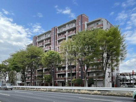 �����s���c�J���Α�4���� 19-20�̒��Ã}���V�����̂��̑����n