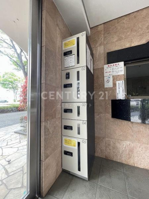 �����s���c�J���Α�4���� 19-20�̒��Ã}���V�����̂��̑����p��