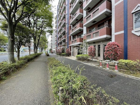 �����s���c�J���Α�4���� 19-20�̒��Ã}���V�����̂��̑�