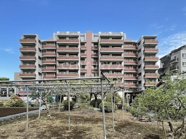 �����s���c�J���Α�4���� 19-20�̒��Ã}���V�����̂��̑����n