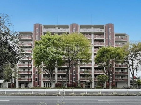 �����s���c�J���Α�4���� 19-20�̒��Ã}���V�����̂��̑����n