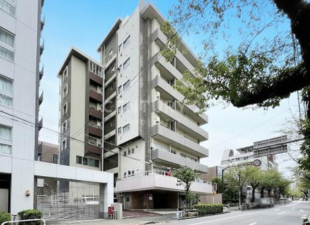 �����s�i��搼�ܔ��c4���� 31-21�̒��Ã}���V�����̂��̑����n