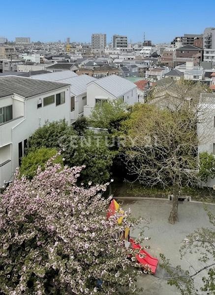 �����s�i��揬�R6���ڂ̒��È�ˌ��Ă̂��̑����n