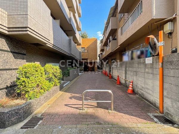 �����s��c�搼���c7���� 51-3�̒��Ã}���V�����̂��̑�