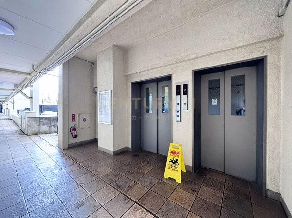 �����s���c�J���p��2���� 5-2�̒��Ã}���V�����̂��̑����p��