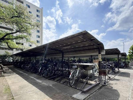 �����s���c�J���p��2���� 5-2�̒��Ã}���V�����̂��̑����p��