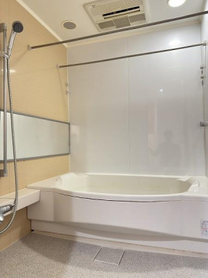 �����s�i�����1���� 19-13�̒��Ã}���V�����̗���