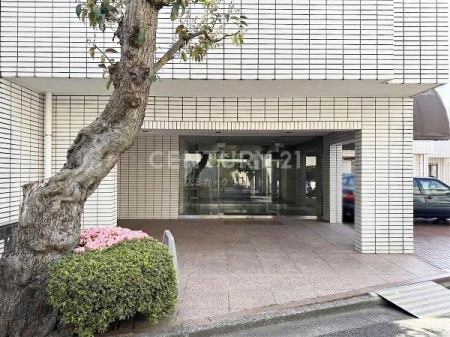 �����s�i���k�i��5���� 17-24�̒��Ã}���V�����̃G���g�����X