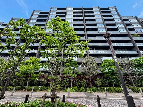 �����s���c�J�摾�q��3���� 37-1�̒��Ã}���V�����̂��̑����n