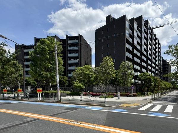 �����s���c�J�摾�q��3���� 37-1�̒��Ã}���V�����̌��n�O�ώʐ^