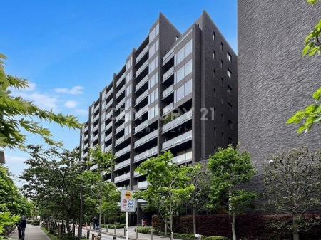 �����s���c�J�摾�q��3���� 37-1�̒��Ã}���V�����̂��̑����n