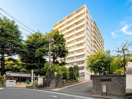 �����s�k�搼�P��1���� 27-3�̒��Ã}���V�����̂��̑����n