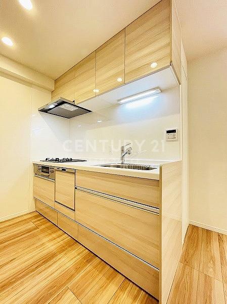 �����s�k�搼�P��1���� 27-3�̒��Ã}���V�����̃L�b�`��