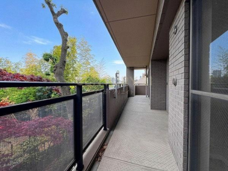 �����s�V�h�撆����1���� 7-14�̒��Ã}���V�����̃o���R�j�[