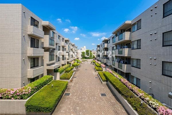 �����s�ڍ����ڍ�3���� 21-28�̒��Ã}���V�����̌��n�O�ώʐ^