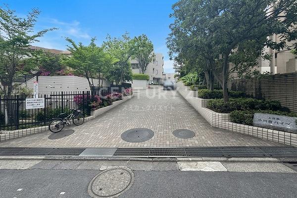 �����s�ڍ����ڍ�3���� 21-28�̒��Ã}���V�����̃G���g�����X