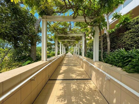 �����s�]����L�F2���� 5-2�̒��Ã}���V�����̂��̑�