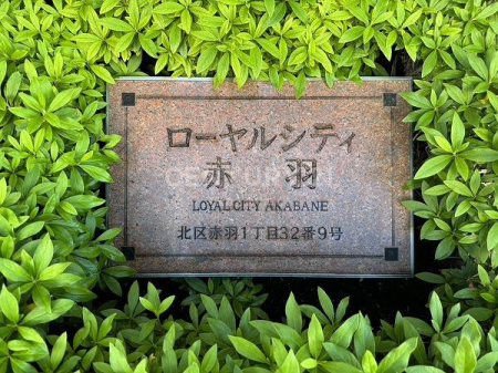 �����s�k��ԉH1���� 32-9�̒��Ã}���V�����̂��̑�