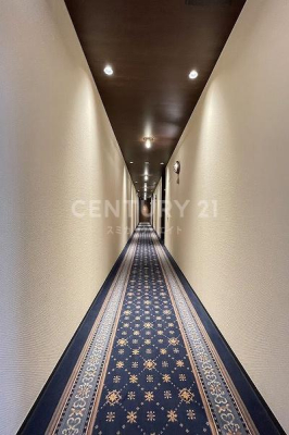 �����s�����搰�C2���� 2-42�̒��Ã}���V�����̂��̑����p��