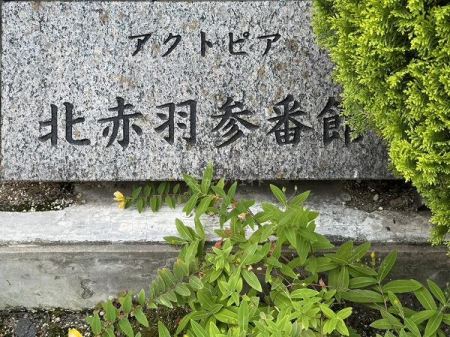 �����s�k��ԉH�k2���� 31-22�̒��Ã}���V�����̂��̑�